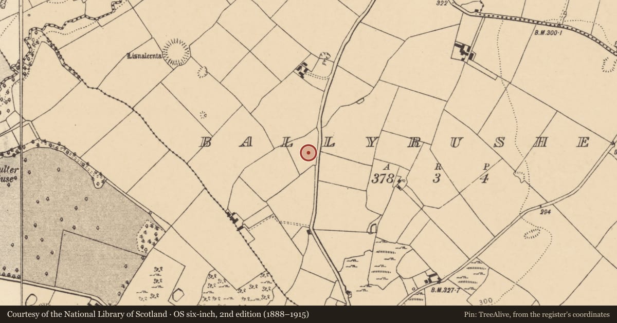 Ordnance Survey six-inch map, 2nd edition (1888–1915) covering the location of Ringfort - rath, Ballyrusheen, County Cork, with a pin at the register's coordinates