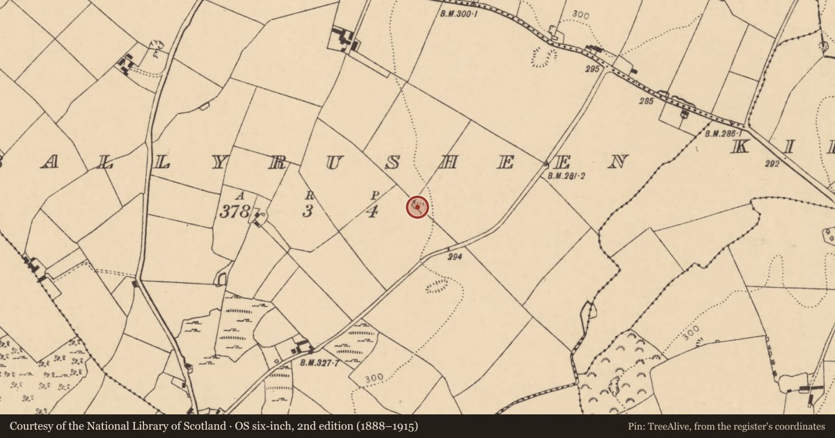 Ordnance Survey six-inch map, 2nd edition (1888–1915) covering the location of Quarry, Ballyrusheen, County Cork, with a pin at the register's coordinates