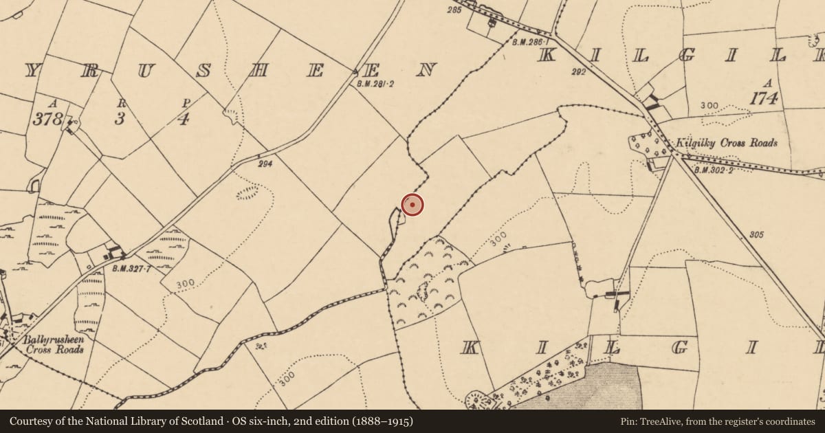 Ordnance Survey six-inch map, 2nd edition (1888–1915) covering the location of Enclosure, Kilgilky North, County Cork, with a pin at the register's coordinates