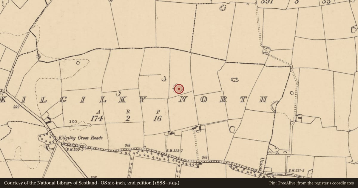 Ordnance Survey six-inch map, 2nd edition (1888–1915) covering the location of Ringfort - rath, Kilgilky North, County Cork, with a pin at the register's coordinates