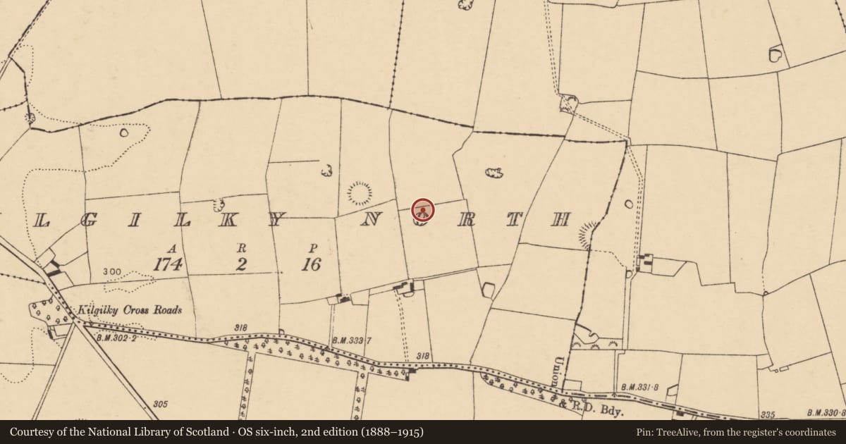 Ordnance Survey six-inch map, 2nd edition (1888–1915) covering the location of Mass-rock, Kilgilky North, County Cork, with a pin at the register's coordinates