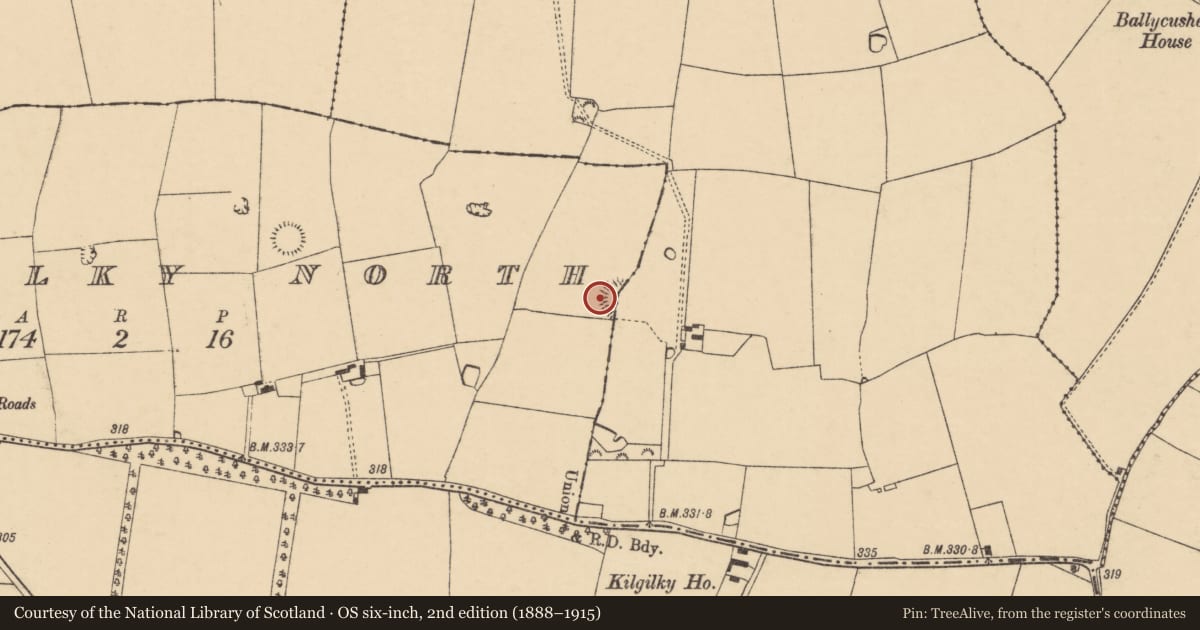 Ordnance Survey six-inch map, 2nd edition (1888–1915) covering the location of Souterrain, Kilgilky North, County Cork, with a pin at the register's coordinates