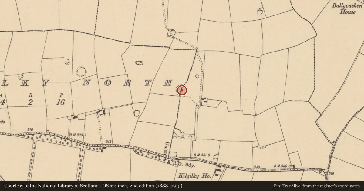 Ordnance Survey six-inch map, 2nd edition (1888–1915) covering the location of Ringfort - rath, Kilgilky North, County Cork, with a pin at the register's coordinates