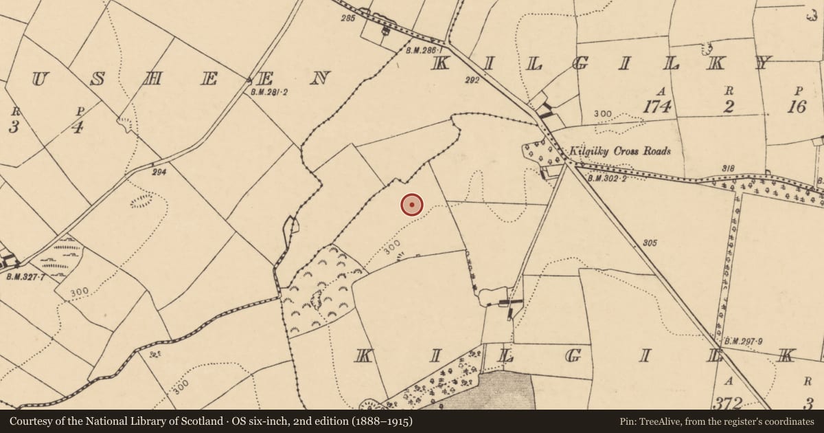 Ordnance Survey six-inch map, 2nd edition (1888–1915) covering the location of Ringfort - rath, Kilgilky South, County Cork, with a pin at the register's coordinates