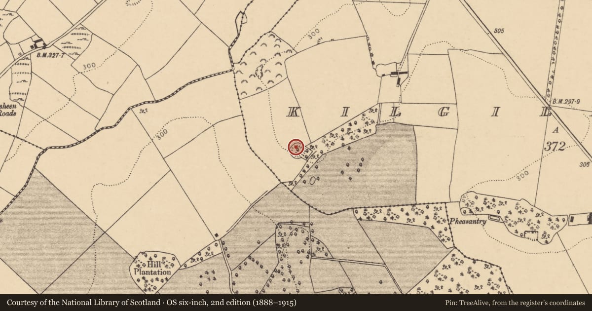 Ordnance Survey six-inch map, 2nd edition (1888–1915) covering the location of Ringfort - rath, Kilgilky South, County Cork, with a pin at the register's coordinates