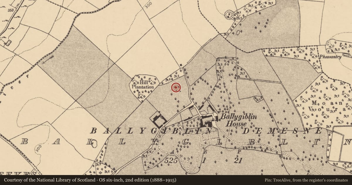 Ordnance Survey six-inch map, 2nd edition (1888–1915) covering the location of Ringfort - rath, Ballygiblin, County Cork, with a pin at the register's coordinates
