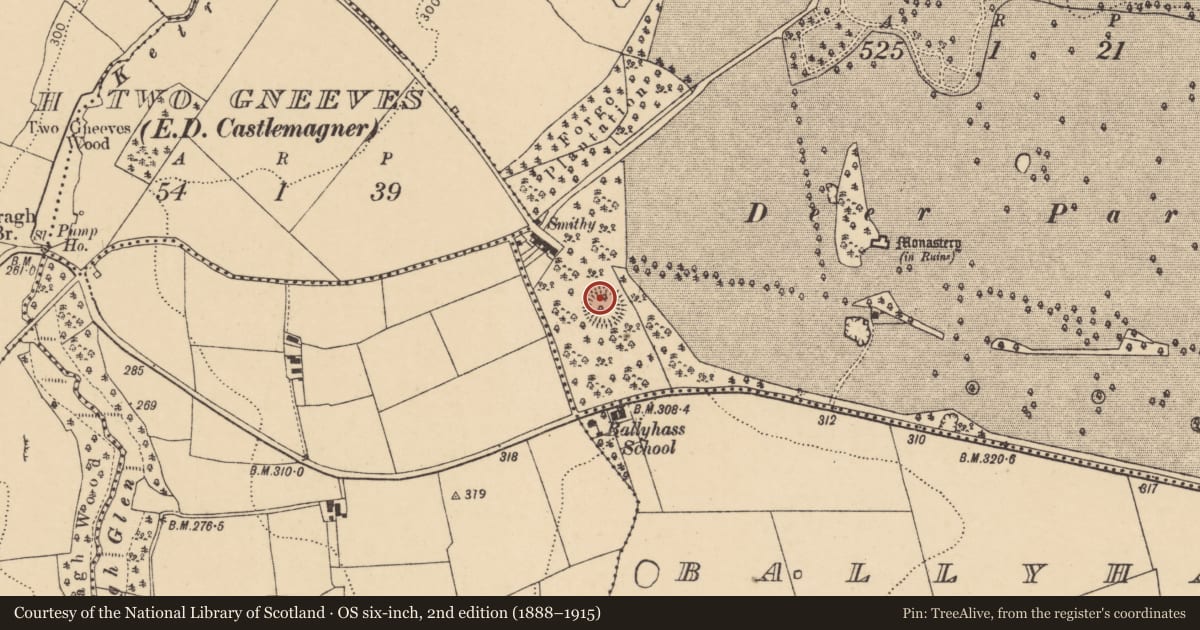 Ordnance Survey six-inch map, 2nd edition (1888–1915) covering the location of Ringfort - rath, Ballygiblin, County Cork, with a pin at the register's coordinates