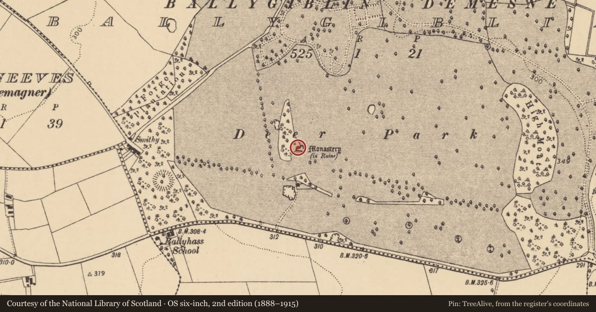 Ordnance Survey six-inch map, 2nd edition (1888–1915) covering the location of Church, Ballygiblin, County Cork, with a pin at the register's coordinates