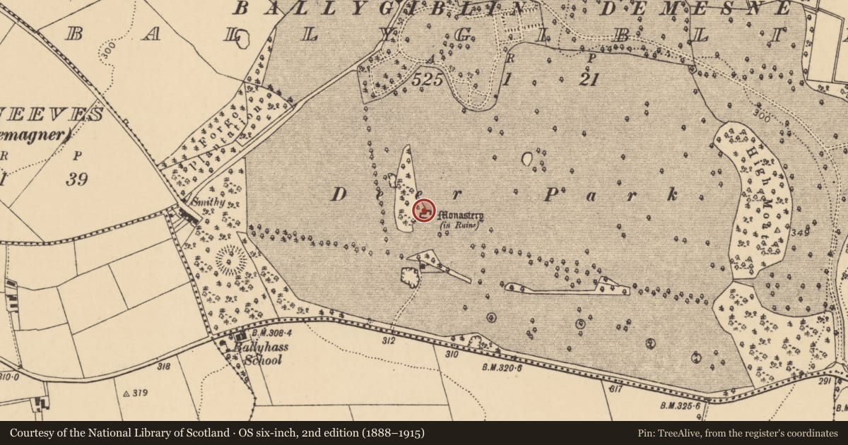 Ordnance Survey six-inch map, 2nd edition (1888–1915) covering the location of Graveyard, Ballygiblin, County Cork, with a pin at the register's coordinates
