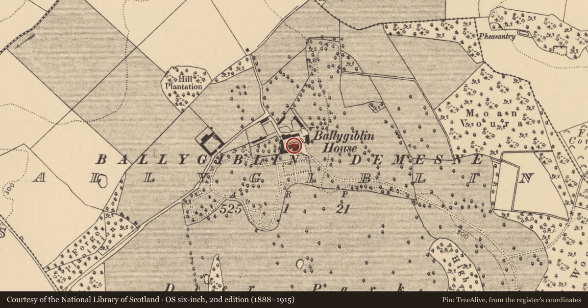 Ordnance Survey six-inch map, 2nd edition (1888–1915) covering the location of Country house, Ballygiblin, County Cork, with a pin at the register's coordinates