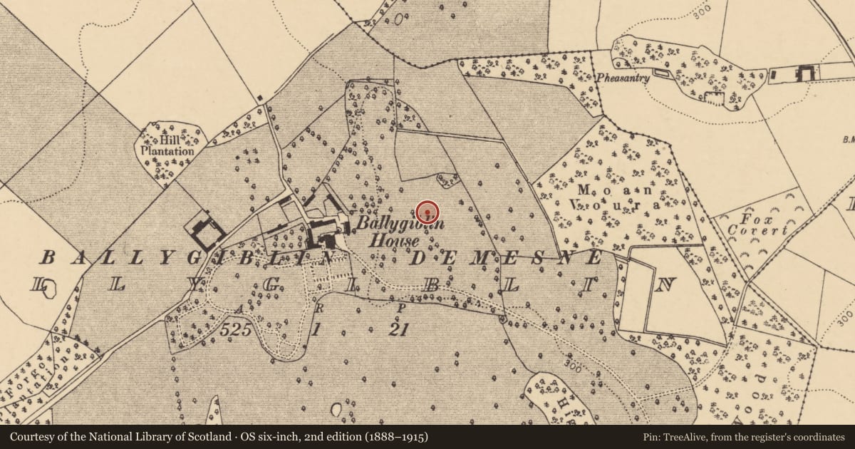 Ordnance Survey six-inch map, 2nd edition (1888–1915) covering the location of Enclosure, Ballygiblin, County Cork, with a pin at the register's coordinates