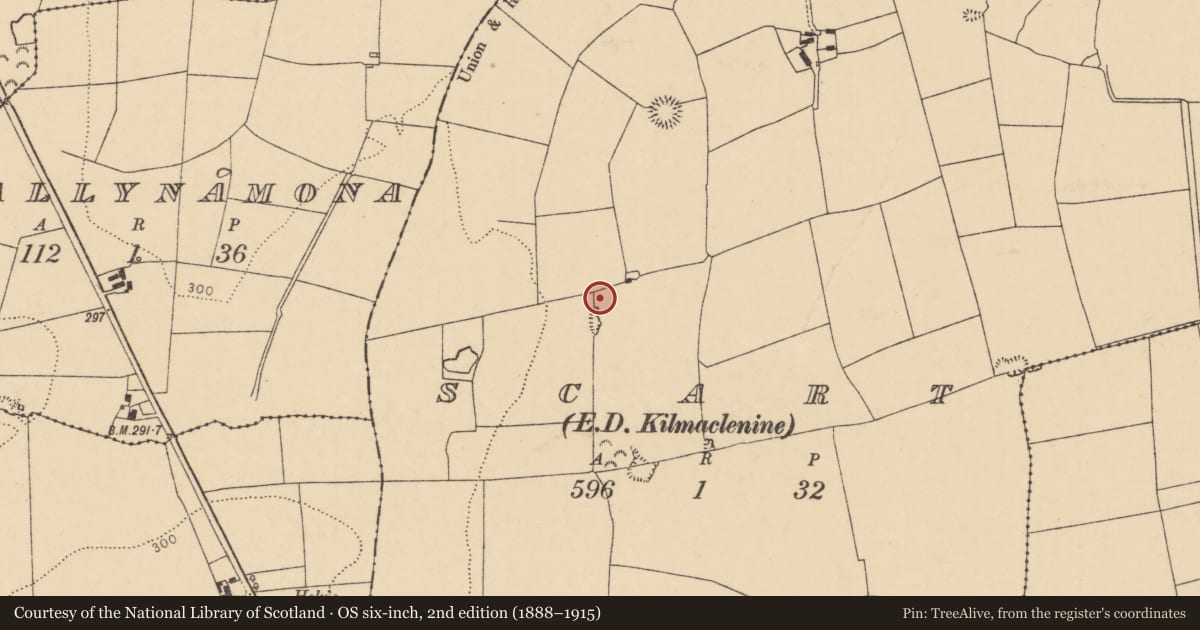 Ordnance Survey six-inch map, 2nd edition (1888–1915) covering the location of Kiln - lime, Scart (Orrery and Kilmore By., Ballyclogh Par.), County Cork, with a pin at the register's coordinates