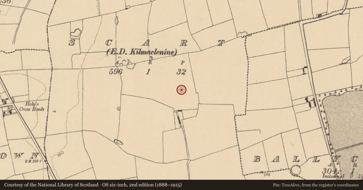 Ordnance Survey six-inch map, 2nd edition (1888–1915) covering the location of Enclosure, Scart (Orrery and Kilmore By., Ballyclogh Par.), County Cork, with a pin at the register's coordinates