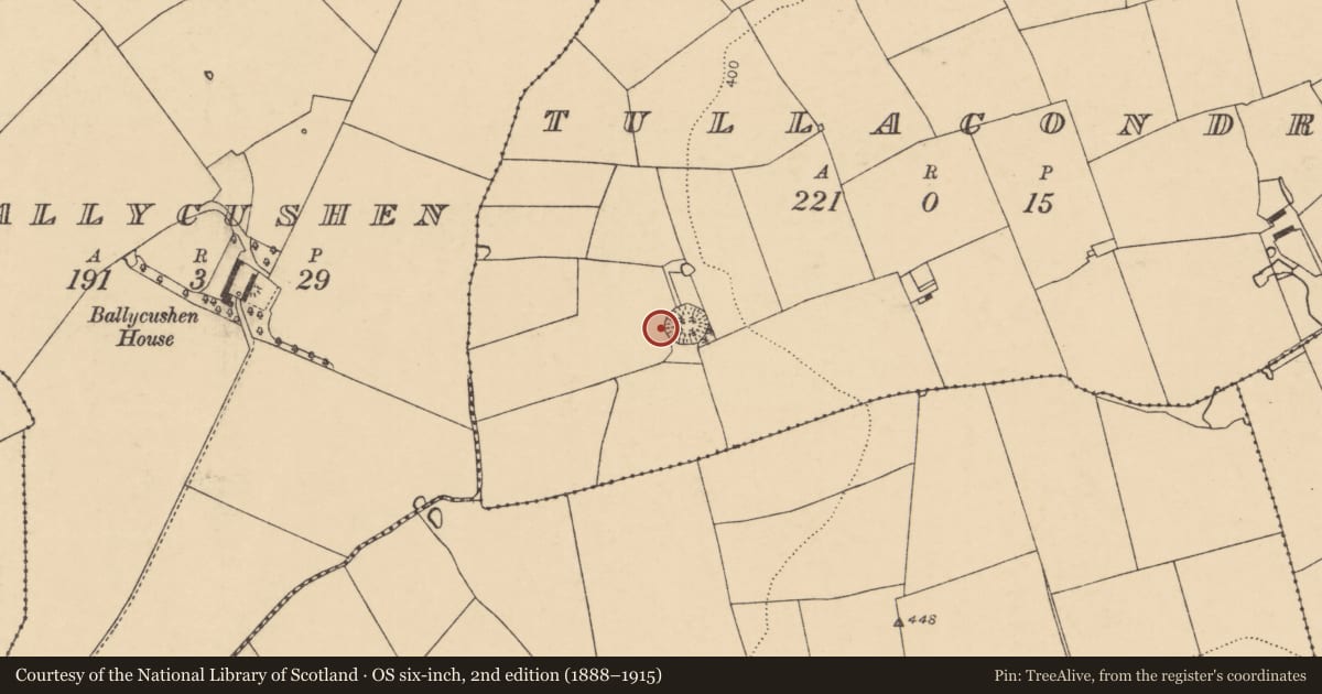 Ordnance Survey six-inch map, 2nd edition (1888–1915) covering the location of Fulacht fia, Tullacondra, County Cork, with a pin at the register's coordinates