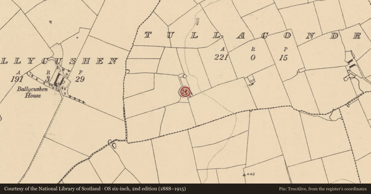Ordnance Survey six-inch map, 2nd edition (1888–1915) covering the location of Ringfort - rath, Tullacondra, County Cork, with a pin at the register's coordinates