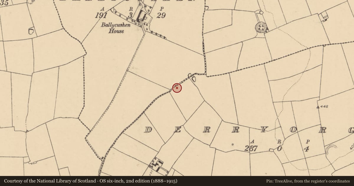 Ordnance Survey six-inch map, 2nd edition (1888–1915) covering the location of Fulacht fia, Derryorgan, County Cork, with a pin at the register's coordinates