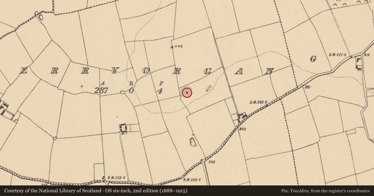 Ordnance Survey six-inch map, 2nd edition (1888–1915) covering the location of Enclosure, Derryorgan, County Cork, with a pin at the register's coordinates