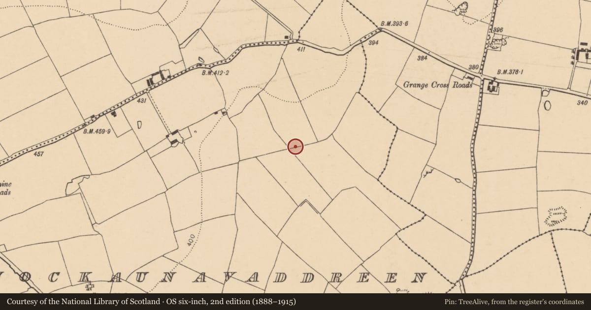 Ordnance Survey six-inch map, 2nd edition (1888–1915) covering the location of Ringfort - rath, Knockaunavaddreen, County Cork, with a pin at the register's coordinates