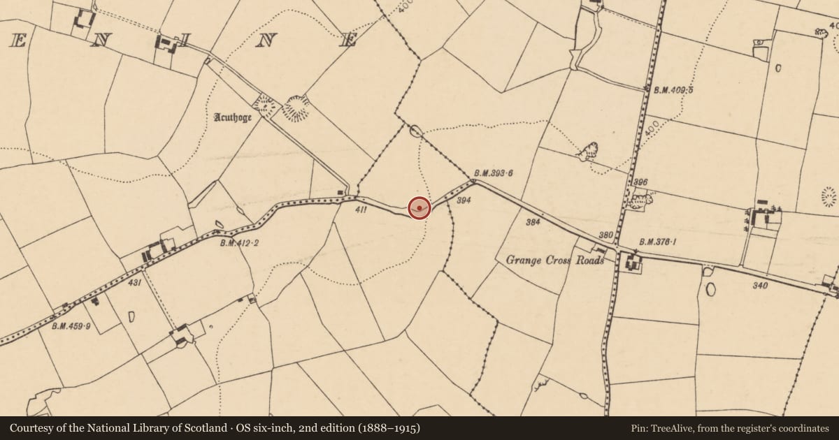 Ordnance Survey six-inch map, 2nd edition (1888–1915) covering the location of Ringfort - rath, Knockaunavaddreen, County Cork, with a pin at the register's coordinates