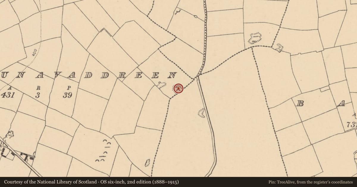 Ordnance Survey six-inch map, 2nd edition (1888–1915) covering the location of Quarry, Knockaunavaddreen, County Cork, with a pin at the register's coordinates