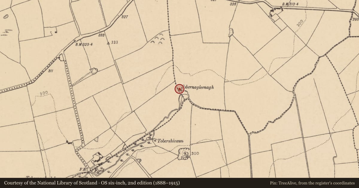 Ordnance Survey six-inch map, 2nd edition (1888–1915) covering the location of Ritual site - holy well, Ballykitt, County Cork, with a pin at the register's coordinates