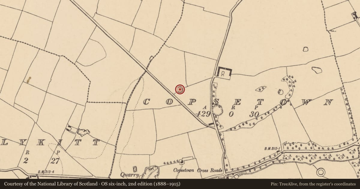 Ordnance Survey six-inch map, 2nd edition (1888–1915) covering the location of Quarry, Copsetown, County Cork, with a pin at the register's coordinates