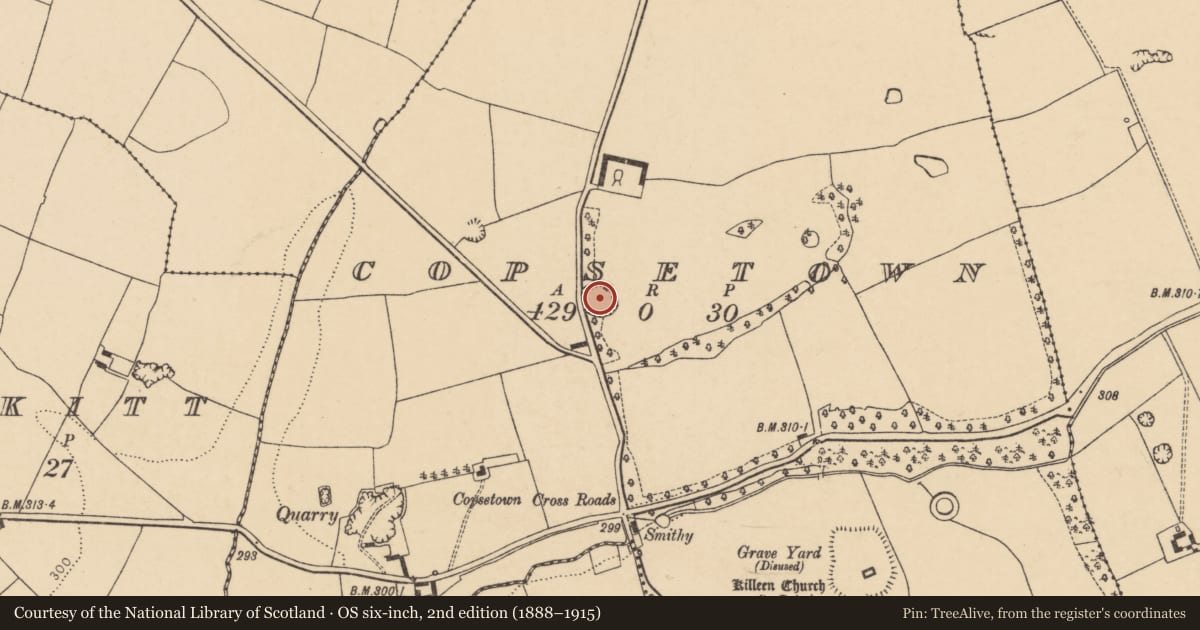 Ordnance Survey six-inch map, 2nd edition (1888–1915) covering the location of Ringfort - rath, Copsetown, County Cork, with a pin at the register's coordinates