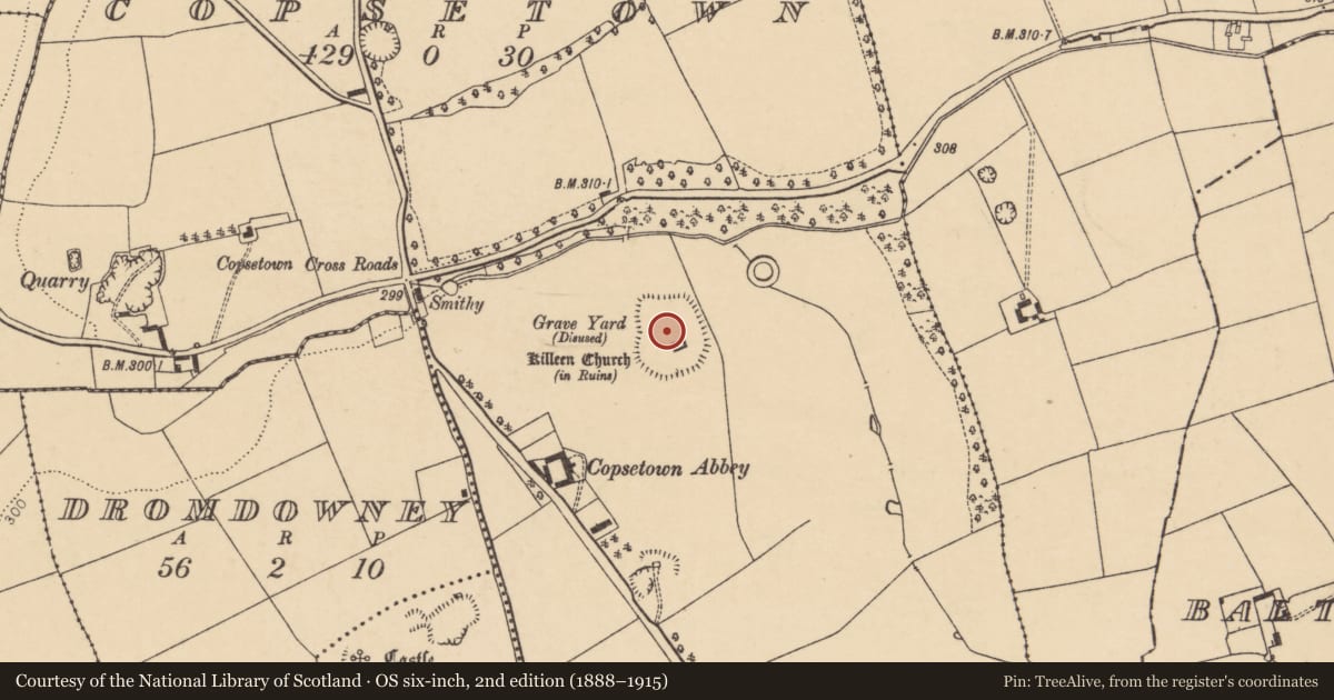 Ordnance Survey six-inch map, 2nd edition (1888–1915) covering the location of Graveyard, Copsetown, County Cork, with a pin at the register's coordinates