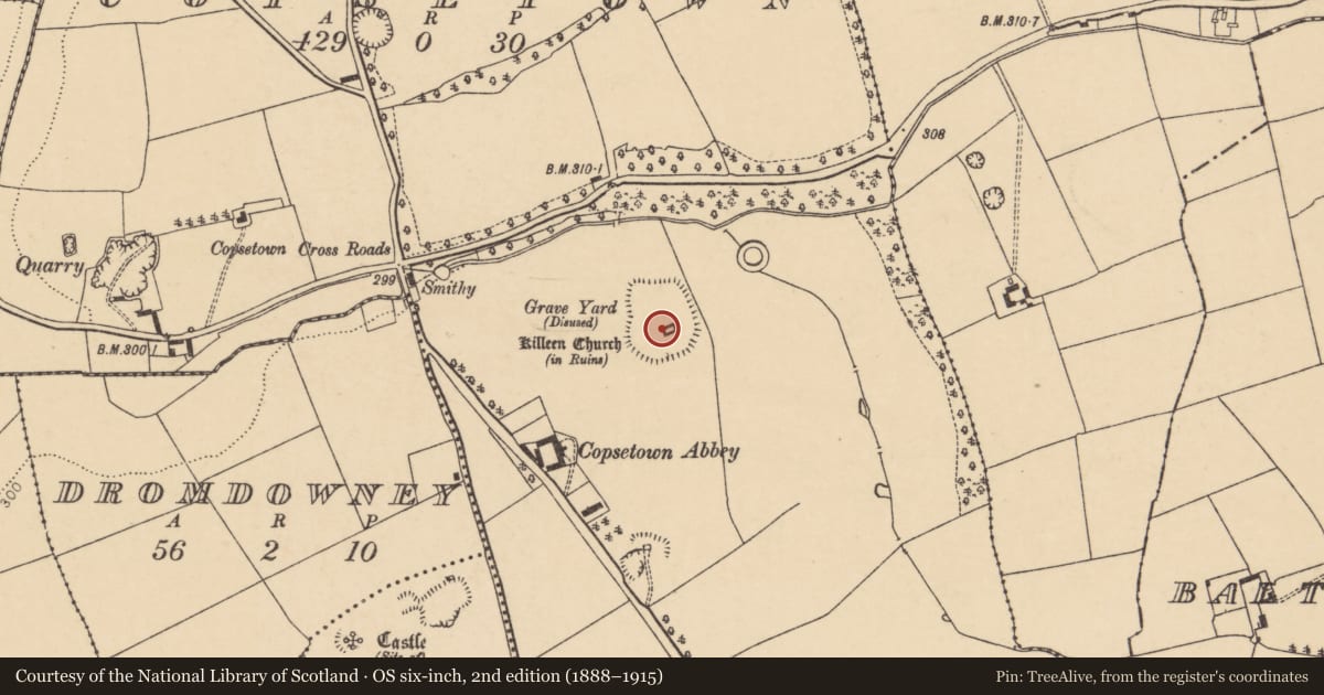 Ordnance Survey six-inch map, 2nd edition (1888–1915) covering the location of Church, Copsetown, County Cork, with a pin at the register's coordinates