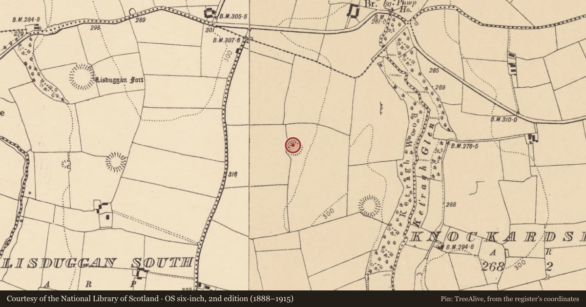 Ordnance Survey six-inch map, 2nd edition (1888–1915) covering the location of Ringfort - rath, Castlemagner, County Cork, with a pin at the register's coordinates