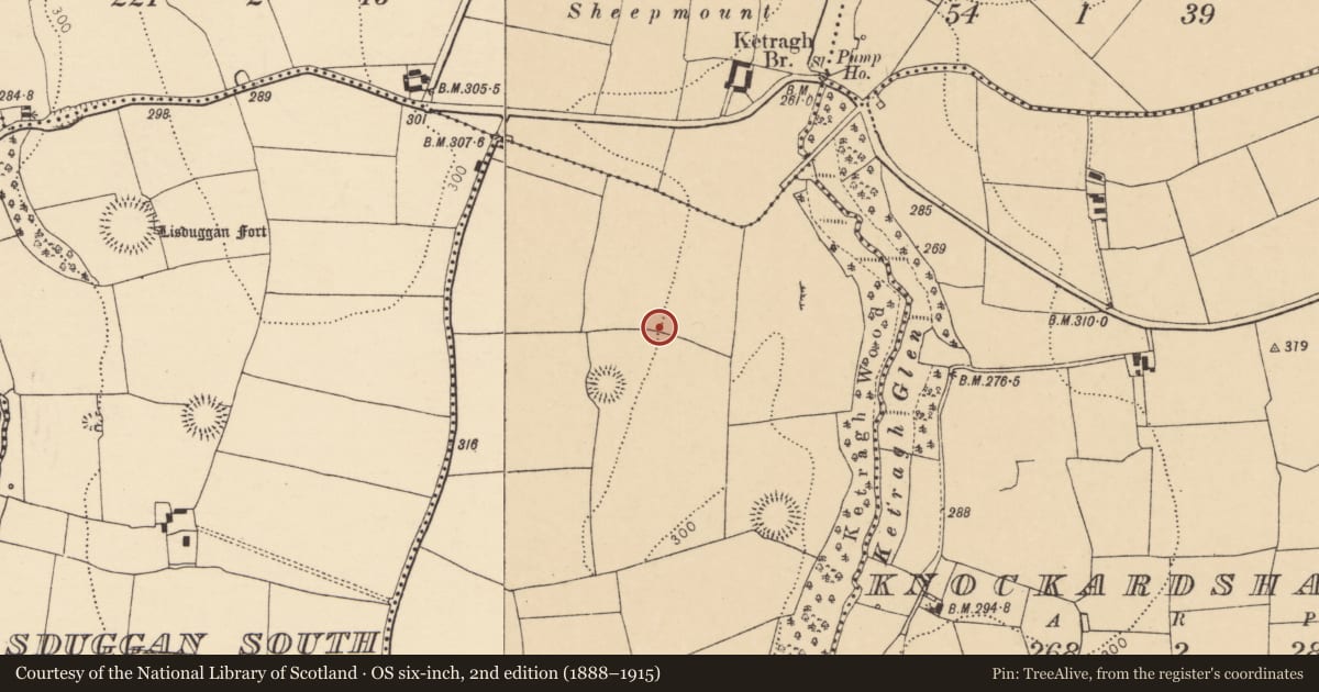 Ordnance Survey six-inch map, 2nd edition (1888–1915) covering the location of Enclosure, Castlemagner, County Cork, with a pin at the register's coordinates