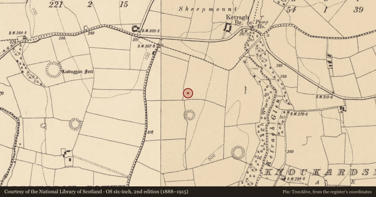 Ordnance Survey six-inch map, 2nd edition (1888–1915) covering the location of Field system, Castlemagner, County Cork, with a pin at the register's coordinates