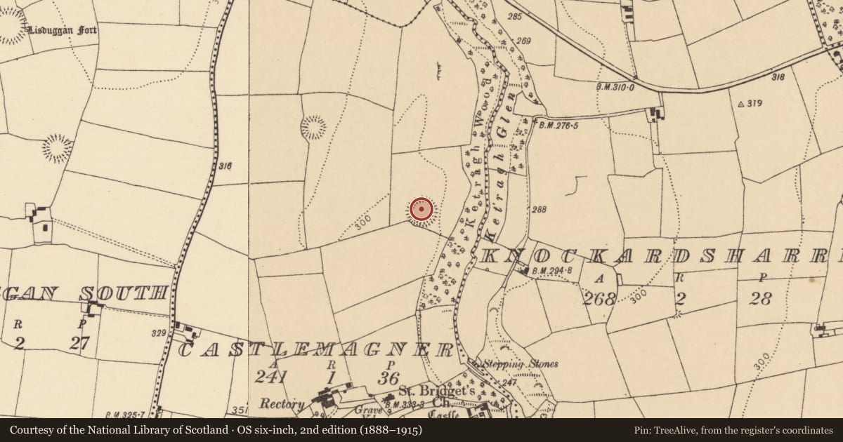 Ordnance Survey six-inch map, 2nd edition (1888–1915) covering the location of Ringfort - rath, Castlemagner, County Cork, with a pin at the register's coordinates
