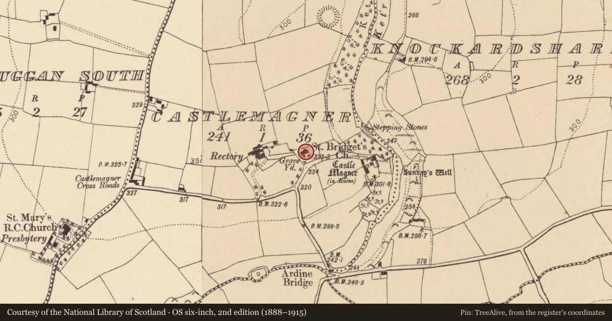 Ordnance Survey six-inch map, 2nd edition (1888–1915) covering the location of Church, Castlemagner, County Cork, with a pin at the register's coordinates