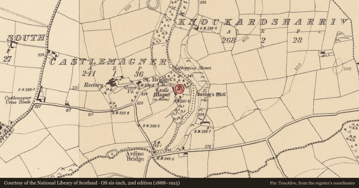 Ordnance Survey six-inch map, 2nd edition (1888–1915) covering the location of Castle - tower house, Castlemagner, County Cork, with a pin at the register's coordinates