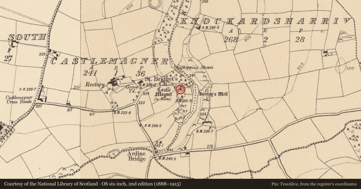 Ordnance Survey six-inch map, 2nd edition (1888–1915) covering the location of Bawn, Castlemagner, County Cork, with a pin at the register's coordinates