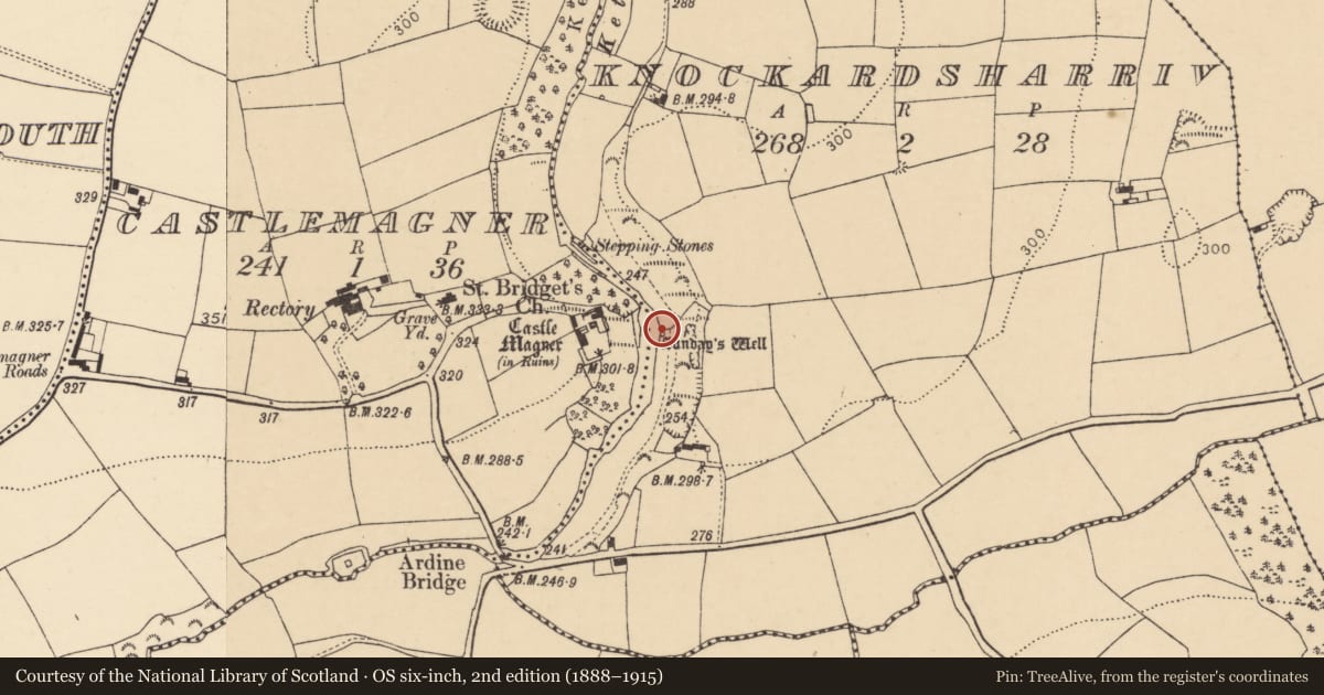 Ordnance Survey six-inch map, 2nd edition (1888–1915) covering the location of Stone sculpture, Knockardsharriv, County Cork, with a pin at the register's coordinates
