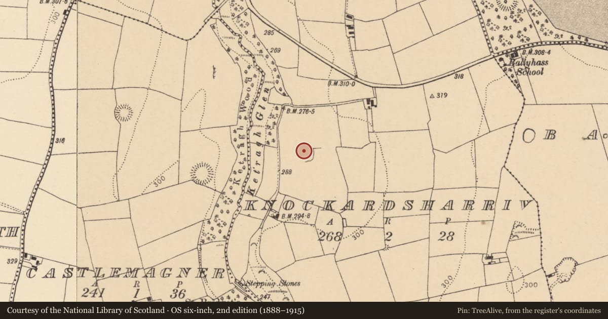 Ordnance Survey six-inch map, 2nd edition (1888–1915) covering the location of Ringfort - rath, Knockardsharriv, County Cork, with a pin at the register's coordinates