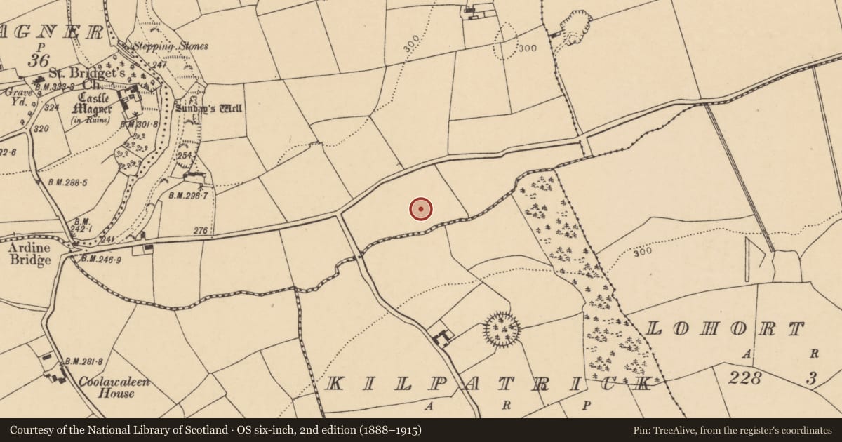 Ordnance Survey six-inch map, 2nd edition (1888–1915) covering the location of Fulacht fia, Knockardsharriv, County Cork, with a pin at the register's coordinates