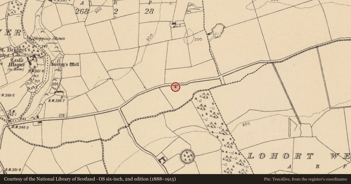 Ordnance Survey six-inch map, 2nd edition (1888–1915) covering the location of Standing stone, Knockardsharriv, County Cork, with a pin at the register's coordinates
