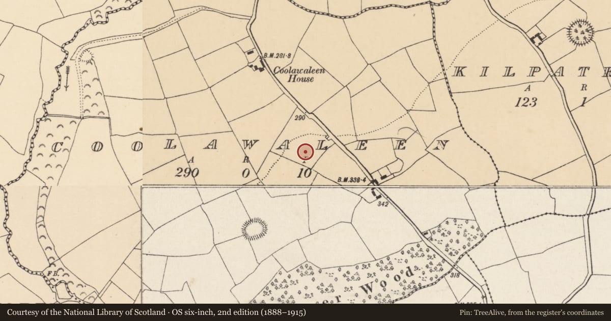 Ordnance Survey six-inch map, 2nd edition (1888–1915) covering the location of Ringfort - rath, Coolawaleen, County Cork, with a pin at the register's coordinates