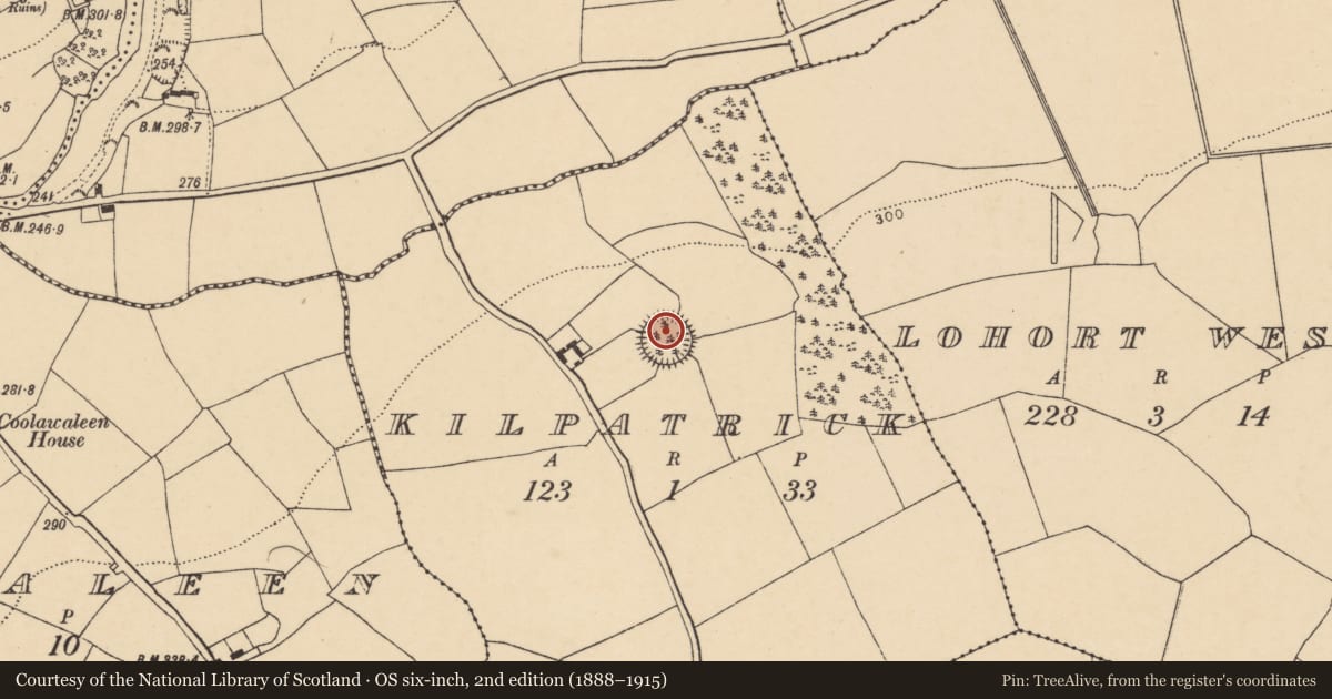 Ordnance Survey six-inch map, 2nd edition (1888–1915) covering the location of Ringfort - rath, Kilpatrick, County Cork, with a pin at the register's coordinates