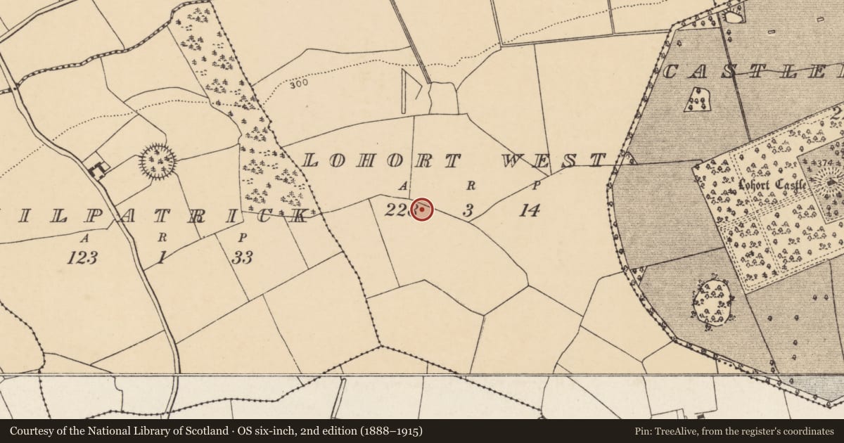 Ordnance Survey six-inch map, 2nd edition (1888–1915) covering the location of Ringfort - rath, Lohort West, County Cork, with a pin at the register's coordinates