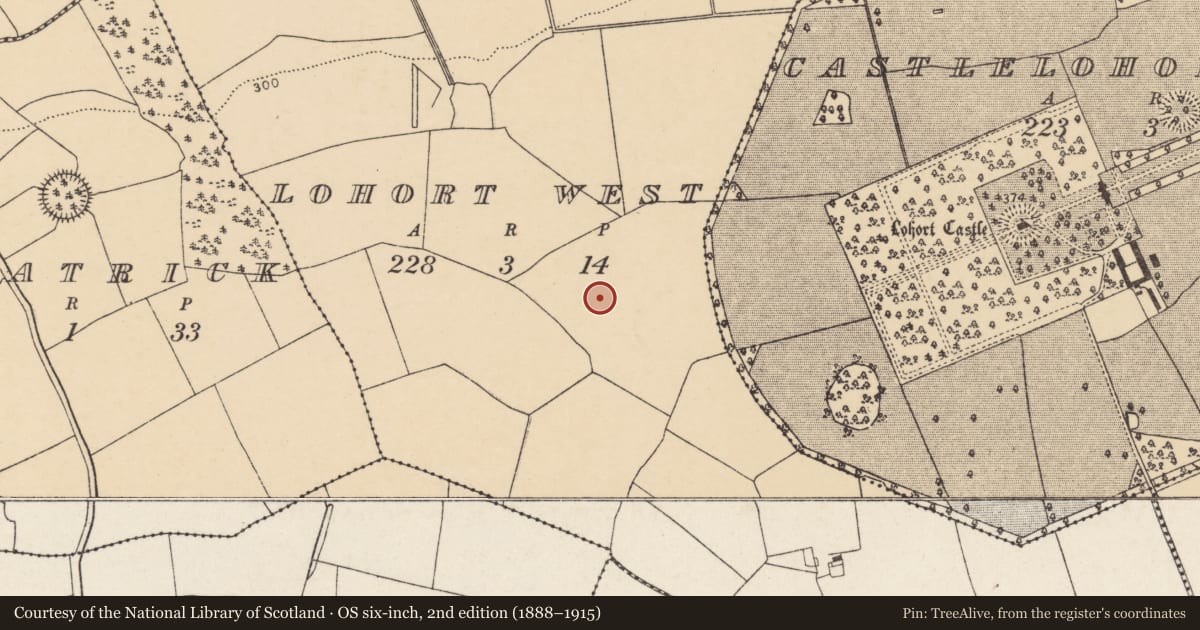 Ordnance Survey six-inch map, 2nd edition (1888–1915) covering the location of Fulacht fia, Lohort West, County Cork, with a pin at the register's coordinates