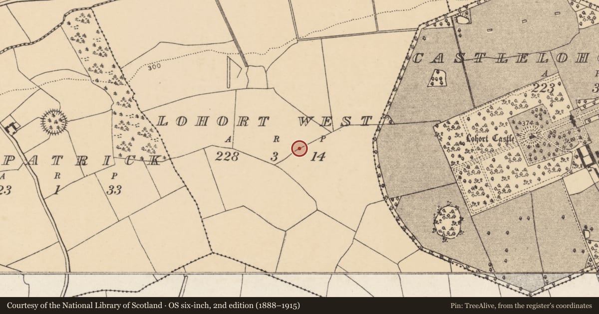 Ordnance Survey six-inch map, 2nd edition (1888–1915) covering the location of Fulacht fia, Lohort West, County Cork, with a pin at the register's coordinates