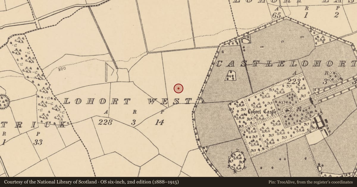 Ordnance Survey six-inch map, 2nd edition (1888–1915) covering the location of Ringfort - rath, Lohort West, County Cork, with a pin at the register's coordinates