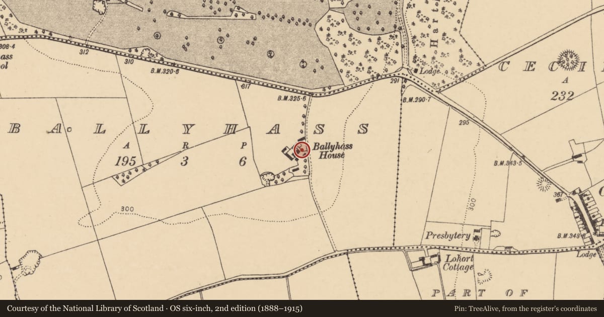Ordnance Survey six-inch map, 2nd edition (1888–1915) covering the location of Souterrain, Ballyhass, County Cork, with a pin at the register's coordinates