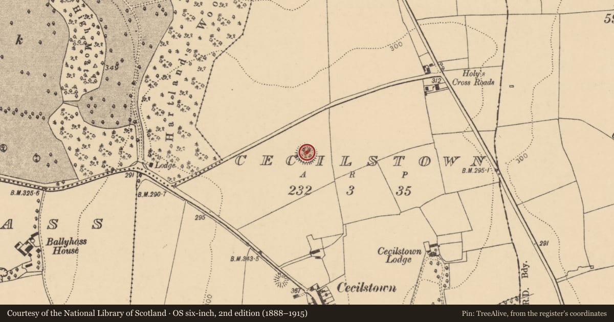 Ordnance Survey six-inch map, 2nd edition (1888–1915) covering the location of Ringfort - rath, Cecilstown, County Cork, with a pin at the register's coordinates