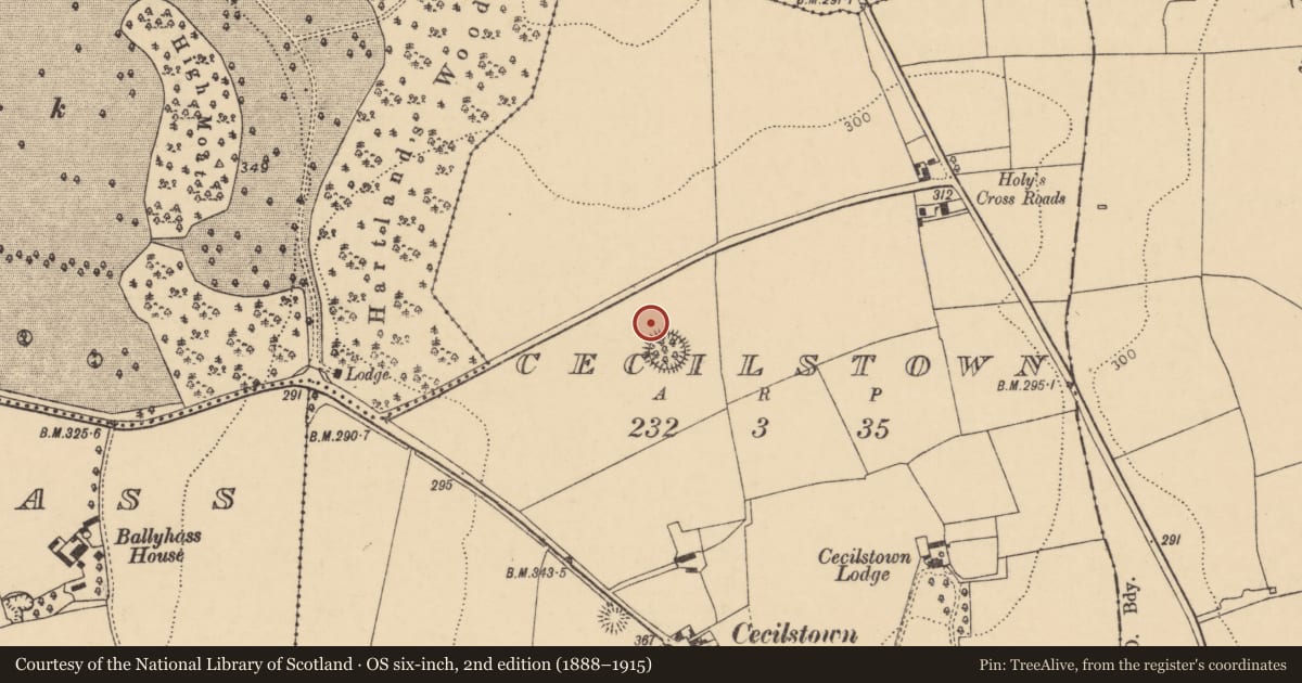 Ordnance Survey six-inch map, 2nd edition (1888–1915) covering the location of Fulacht fia, Cecilstown, County Cork, with a pin at the register's coordinates