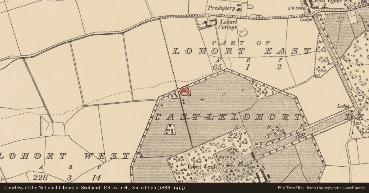 Ordnance Survey six-inch map, 2nd edition (1888–1915) covering the location of Decoy pond, Castlelohort Demesne, County Cork, with a pin at the register's coordinates